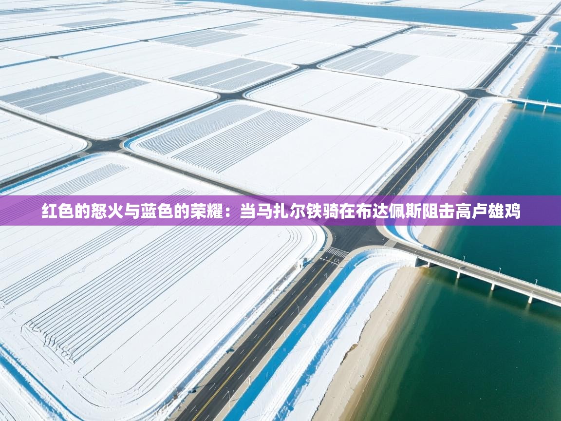 红色的怒火与蓝色的荣耀：当马扎尔铁骑在布达佩斯阻击高卢雄鸡  第1张