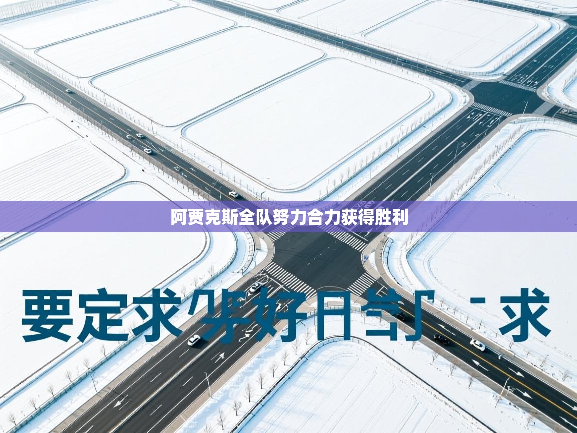 阿贾克斯全队努力合力获得胜利 第1张