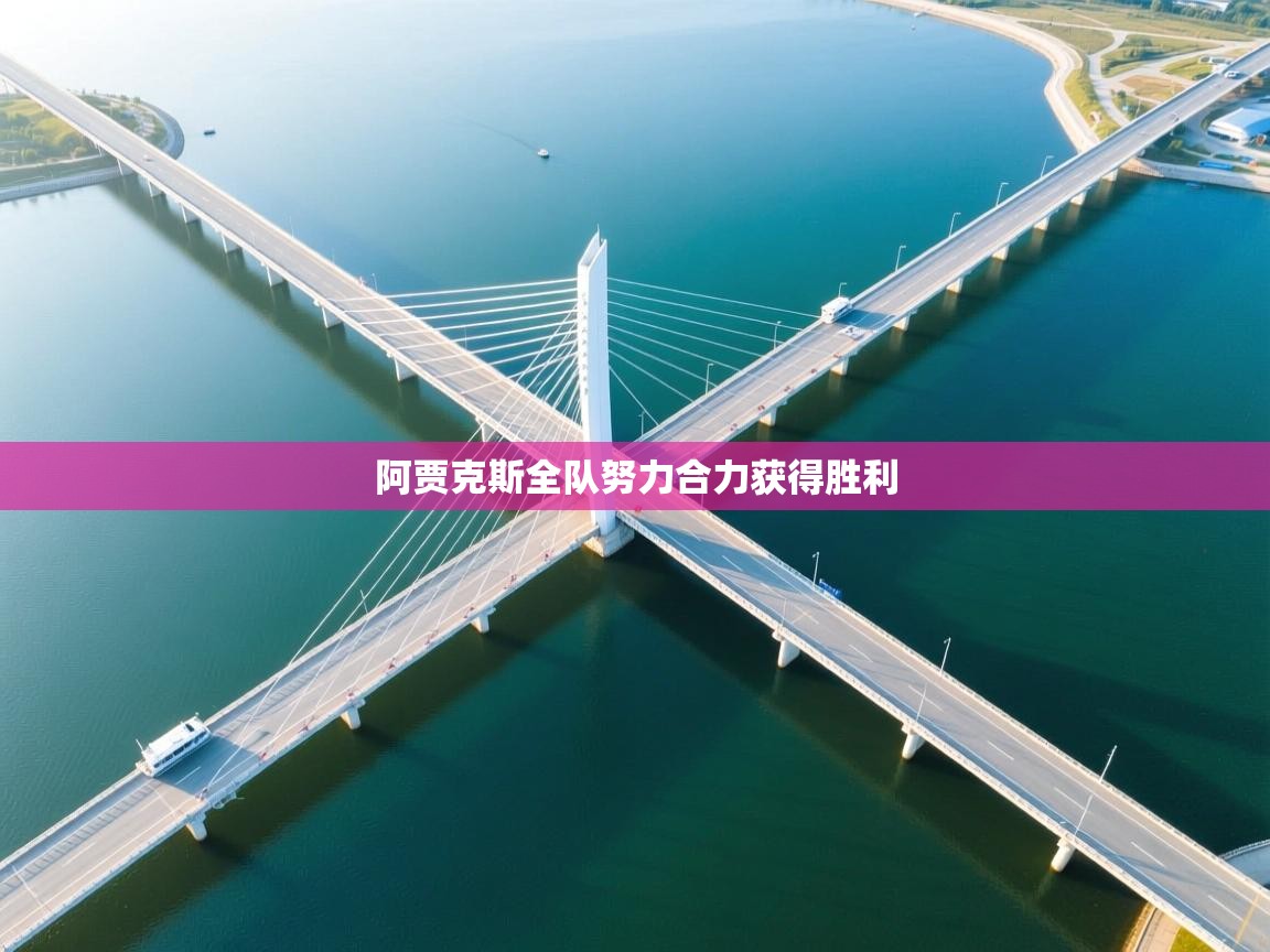 阿贾克斯全队努力合力获得胜利 第2张